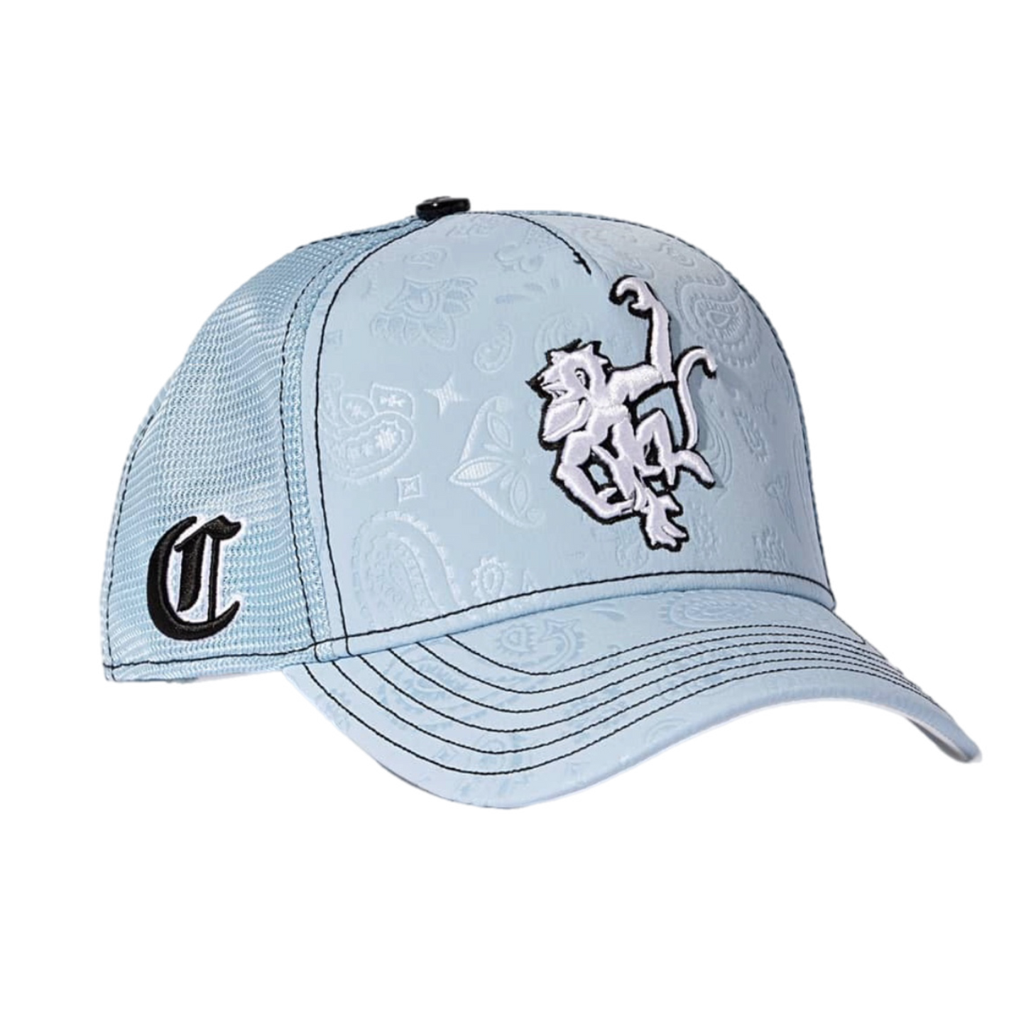 Classico Womens 25’